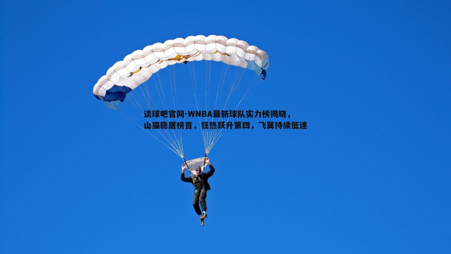 WNBA最新球队实力榜揭晓，山猫稳居榜首，狂热跃升第四，飞翼持续低迷